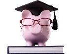 MBBS Admission Consultant